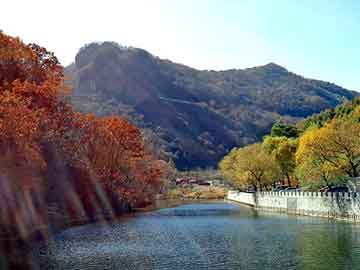 澳门天天免费精准大全，第十九层地狱